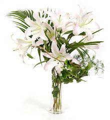 �ʻ����ٺϡ��ξ�