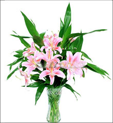 �ʻ����۰ٺϡ�лл��İ�