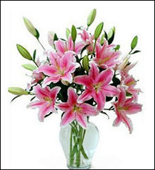 �ʻ����۰ٺϡ�˳������