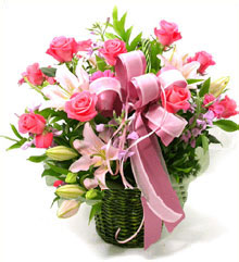 �ʻ������������Ľ���