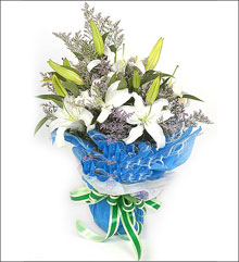 �ʻ����ٺϡ�����ú�