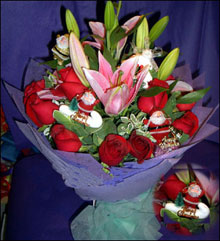 �ʻ����ٺϡ�����ʥ��