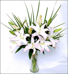 �ʻ����۰ٺϡ���ԡ����