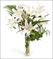 �ʻ����ٺϡ��ξ�