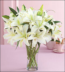 �ʻ����ٺϡ�����