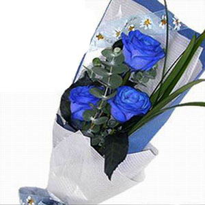 �ʻ�����õ�塤������������