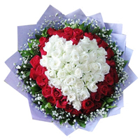 ���˽��ʻ������õ�塤����ͼ֮��