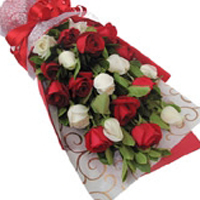 ���˽��ʻ������õ�塤�����İ�