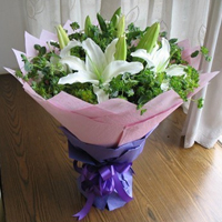 ���˽��ʻ����װٺϡ�ˮ����