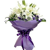 ���˽��ʻ����װٺϡ��Ķ��ĸо�