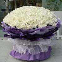 ���˽��ʻ�����õ�塤I LOVE YOU